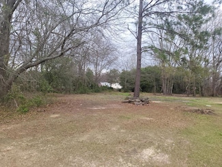 2 Bush Ct, Dalzell, SC 29040