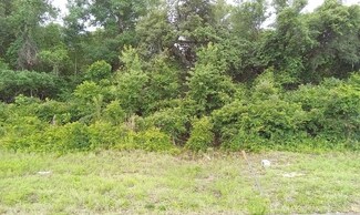 lot 19 SW 100th St, Ocala, FL 34476