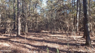 4561 Ennis Rd, Starkville, MS 39759