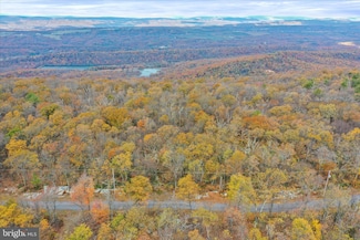 Lot 56 Bear Trail, Shawneeland, VA 22602