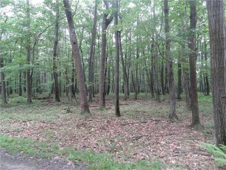 32B Hawks Nest Rd, Central City, PA 15926