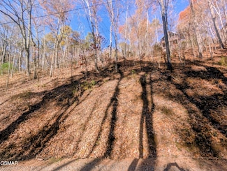 LOT 177B Tsali Dr, Sevierville, TN 37876