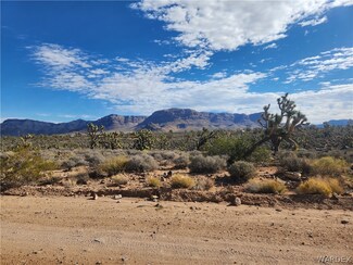26555 N Yucca Rd, Meadview, AZ 86444
