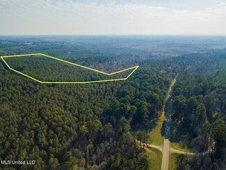 00 Natchez Trace Parkway Smith Rd, French Camp, MS 39745