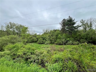 0 W Seneca Lot 1 Rd Unit B1592222, Hector, NY 14886