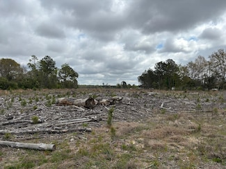 0 E Whispering Oak Rd, Bishopville, SC 29010