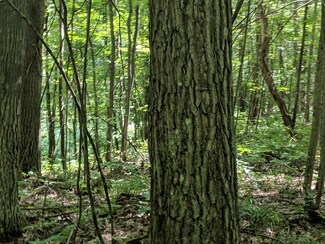 0 Hardy Grade Rd Unit 10 ACRES Off 320801, Curran, MI 49728