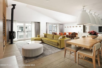 550 S Spring St, Aspen, CO 81611