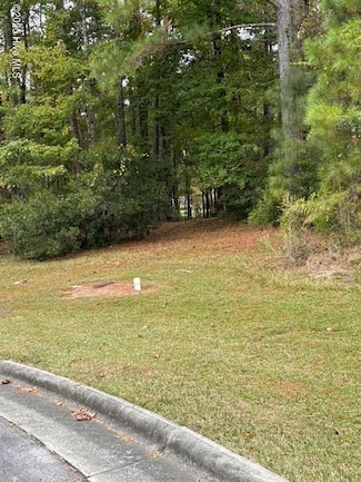 3808 Lichen Ln, New Bern, NC 28562