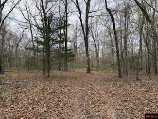 687 County Road 479, Salesville, AR 72653
