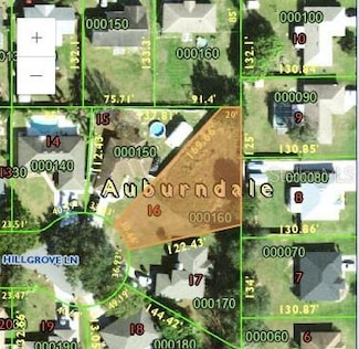 933 Hillgrove Ln, Auburndale, FL 33823