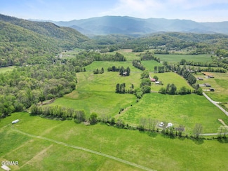 3858 Holders Grove Rd, Cosby, TN 37722