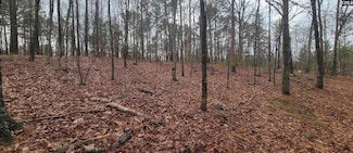 2458 Chapin Rd, Chapin, SC 29036