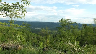 0 Osborne Ridge Rd Unit 9937907, Dungannon, VA 24245