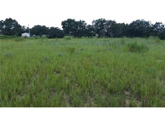 13642 Citrus Farms Dr, Astatula, FL 34705