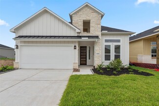 11025 N Lake Mist Ln, Willis, TX 77318
