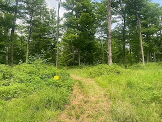 0 Fulmer Valley Rd Unit 24226642, Wellsville, NY 14895