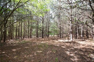 00001 Mountain View Rd, Buchanan, GA 30113
