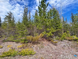 Lot 116 W Norwood Ct, Presque Isle, MI 49777