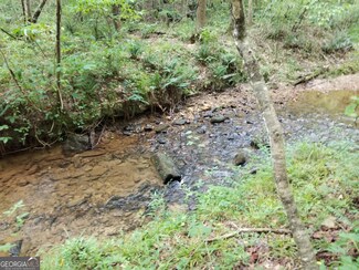 0 Town Creek Rd Unit 10444220, Franklin, GA 30217