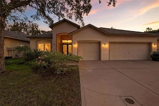 19213 Pelican Ridge Ln, Tampa, FL 33647