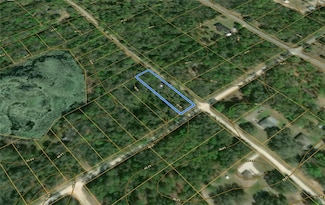 0 Smallman St Unit MFRG5097688, Webster, FL 33597