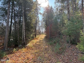 L3 Alder Brook Rd, Bolton Landing, NY 12814