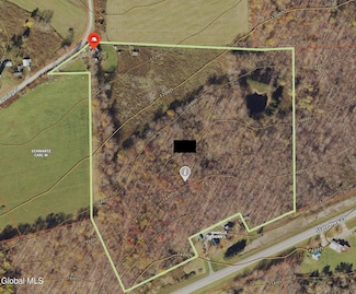 168 George Peasley Rd, Pharsalia, NY 13844