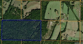 0 County Road 461 Unit 25024265, Pollard, AR 72456
