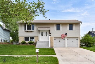 20255 S Greenfield Ln, Frankfort, IL 60423