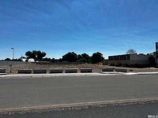 1291 S Taylor St, Fallon, NV 89406