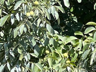 0 Us-99, Yuba City, CA 95991