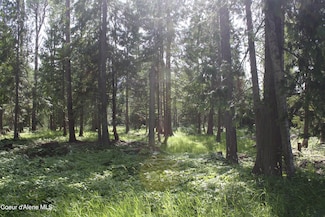 Lot 3 Riverlake Dr, Clark Fork, ID 83811