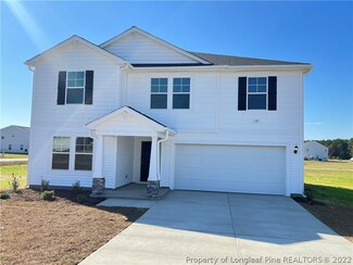19 Race Ct, Godwin, NC 28344