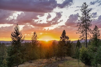 5855 Weaver Parcels C & D Rd, Deer Park, WA 99006