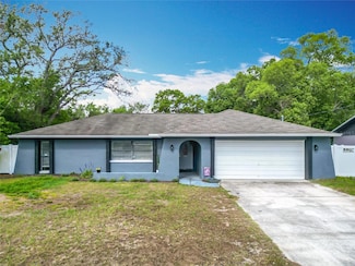 4435 Lamson Ave, Spring Hill, FL 34608