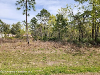 0 Liberto Rd Unit 2252398, Weeki Wachee, FL 34614