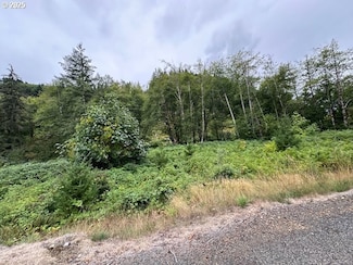 1 N Dubois Rd, Ariel, WA 98603