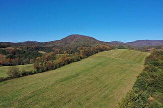 TBD Buffalo Rd, Buchanan, VA 24066