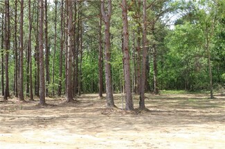 6.99 acres Hwy 25 None, Franklinton, LA 70438