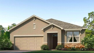 7074 Broad River Ave, Land O' Lakes, FL 34638