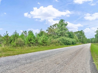 0 Riley Rd Unit 20147481, Flovilla, GA 30216
