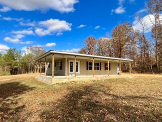 280 Tommy Sanders Rd, Stantonville, TN 38379