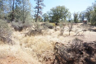 194 Pioneer Ln, Junction City, CA 96048