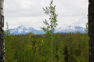 3541 N Slaton St, Wasilla, AK 99654