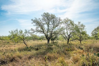 6960 Buck Ridge, Brady, TX 78625