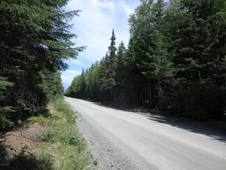 Tr B2F Resurrection Creek Rd, Hope, AK 99605
