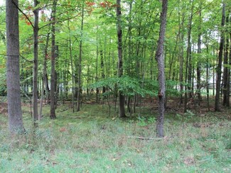 8478 Highland Trail Unit 7, Canadian Lakes, MI 49346