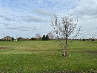 26019 S Greene Castle Dr, Monee, IL 60449
