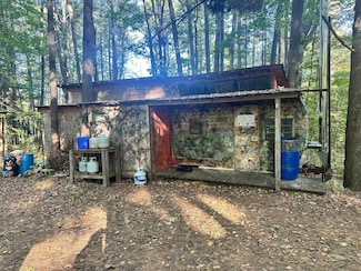 12917 2 Mile Rd, Hersey, MI 49639
